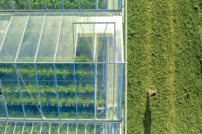 Image of greenhouse and person working outside