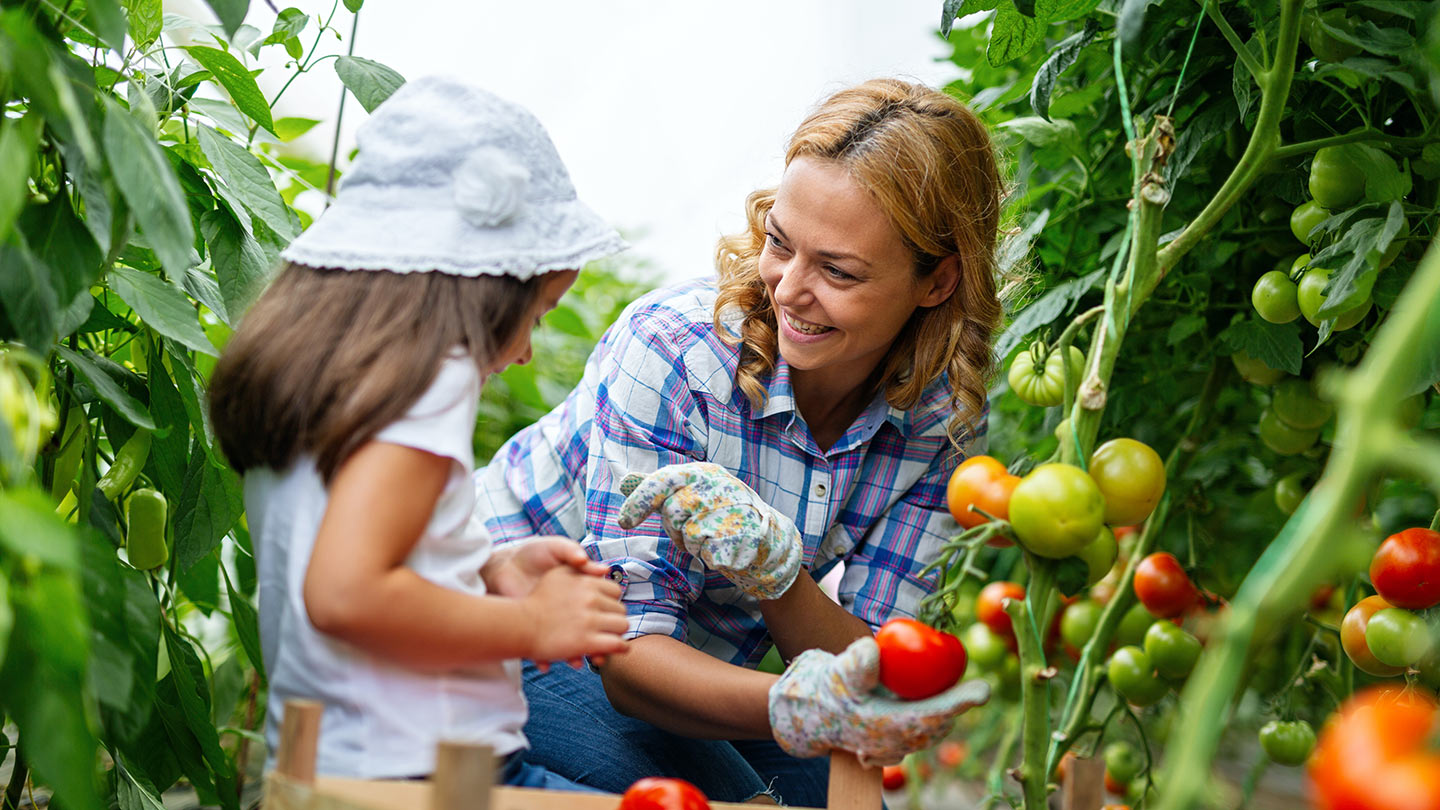 Child left with woman on right picking tomatoes