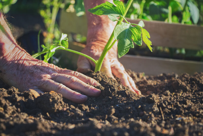 Hand planting a seed in the soil
