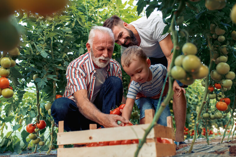 Family working together in garden